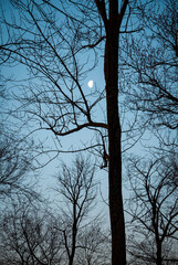 Long Point State Park, New York State