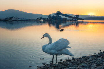 Jezioro Żywiecki © kamil