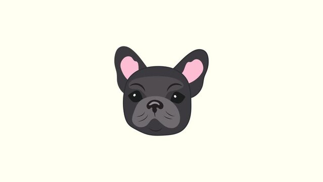 Animation illustration motion graphics Head of a cute curious black French bulldog puppy on a white background