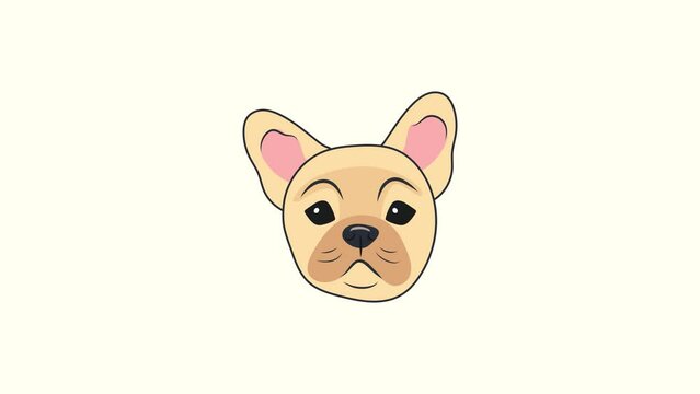 Animation illustration motion graphics Head of a cute curious beige French bulldog puppy on a white background