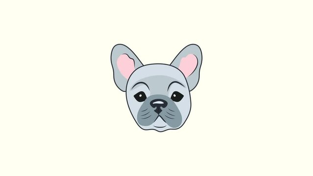Animation illustration motion graphics Head of a cute curious blue-gray French bulldog puppy on a white background