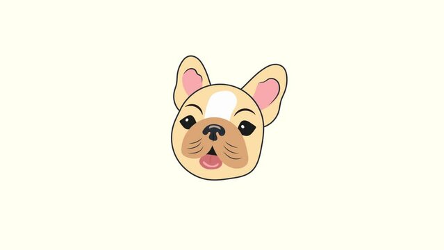 Animation illustration motion graphics Head of a cute beige French bulldog puppy on a white background