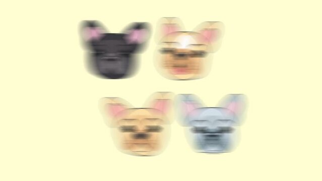 Animation illustration motion graphics Four heads of cute curious French bulldog puppies on a beige background