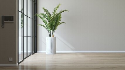 Tropical palm tree in white pot in sunlight from sliding door partition, blank cream wall with...