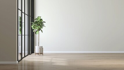 Fiddle leaf fig tree in white pot in sunlight from sliding door partition, blank white wall with...