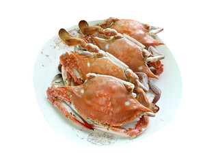Crab on a dish