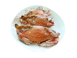 Crab on a dish
