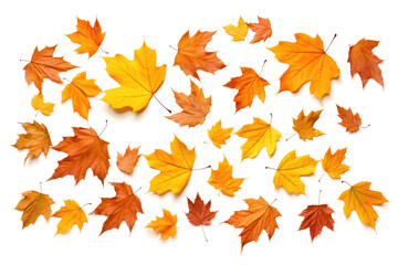 Colorful Autumn Leaves Scattered Isolated on Transparent Background