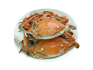 Crab on a dish