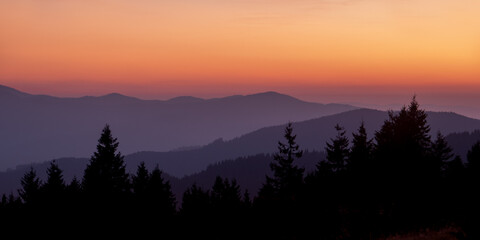 Silhouettes of foggy mountain ridges and fir tree forest in twilight. High quality banner photo