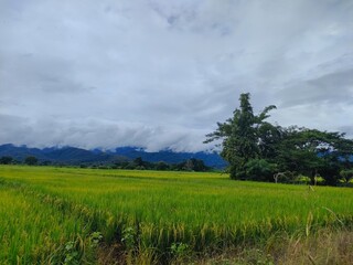 landscape with clouds