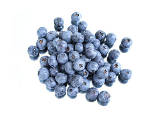 blueberries on a white background