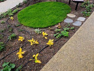 stepping stones lead to a small circular lawn in the middle of a flower bed. sitting on a bent...