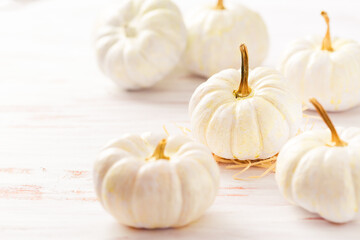 White pumpkings on wooden table, Thanksgiving and autumn decoration