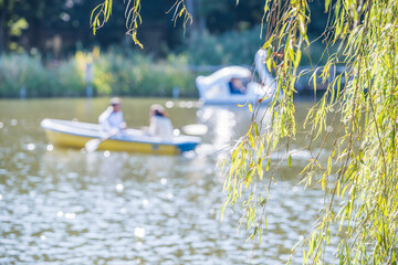 石神井公園とボート