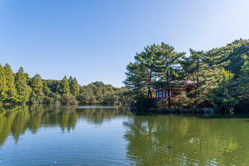 Fototapeta na wymiar 石神井公園の風景