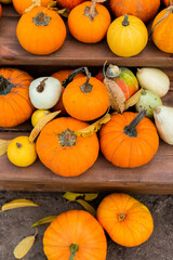 background of pumpkins on a wooden terrace outside