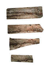 set of wooden logs. Plank with bark texture isolated on transparent background
