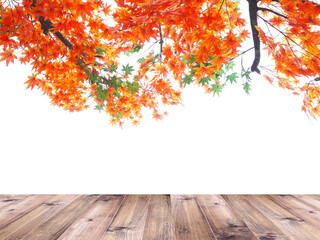 Wooden table top over orange maple leaves in autumn. - 669942976