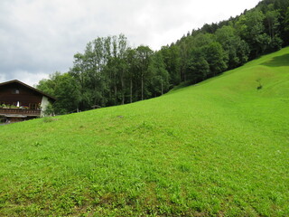 Saftige grüne Wiesen in den Alpen