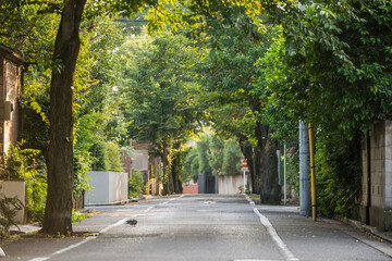 成城学園周辺の風景