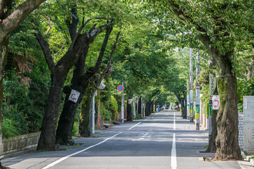 成城学園周辺の風景