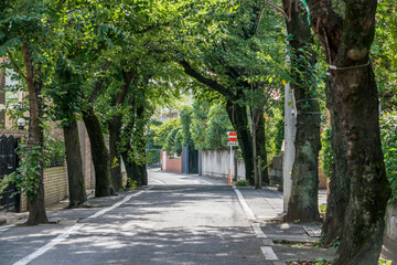 成城学園周辺の風景