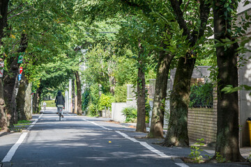 成城学園周辺の風景