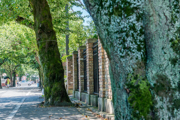 成城学園周辺の風景