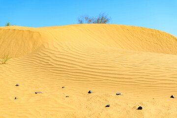 Sand dunes in selective focus in the Astrakhan desert, Russia. Wild desert.