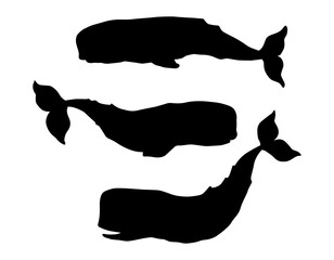 Set of black silhouettes of whales isolated on white background.