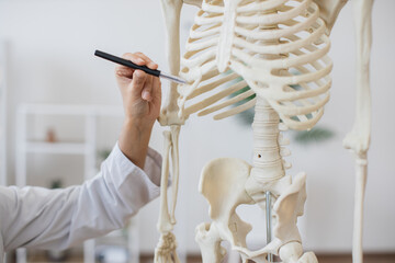 Close up of hand of female doctor dressed in medical gown pointing with pen to rib bone on plastic model of human body. Detailed structure of skeleton demonstrating places of diseases in patient. - obrazy, fototapety, plakaty