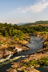 Obraz premium Río rodeado de flora en Galicia.
