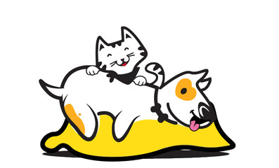 cat and dog