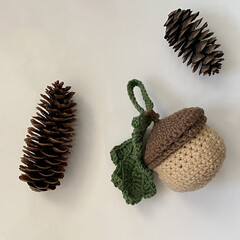 Knitted acorn with pine cones on the background