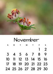 November month on the 2024 calendar with a flower photo. Calendar for 2024 by month.