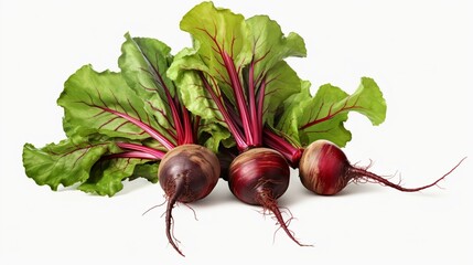 beetroot isolated on white background  generated by AI