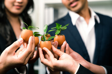 Eco-friendly investment on reforestation by group of business people holding sprout in egg shell...
