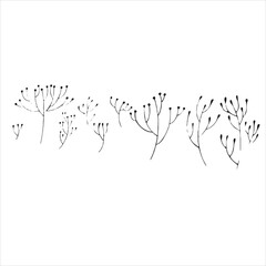 Set of decorative leaf silhouette. Collection sketch twigs. Hand drawn vector floral elements.