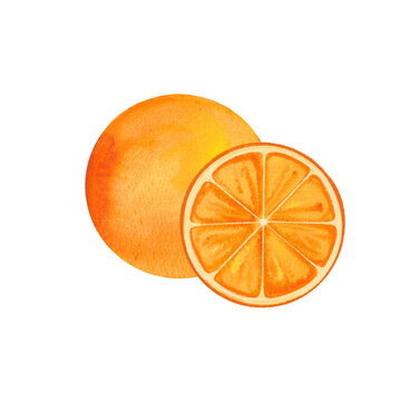 orange watercolor fruits, fruitarianism, healthy food