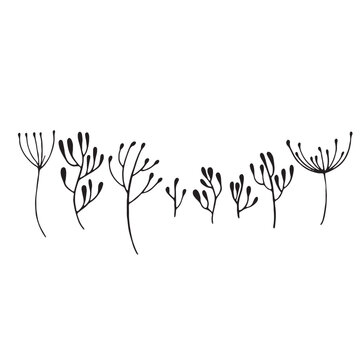 Set of decorative leaf silhouette. Collection sketch twigs. Hand drawn vector floral elements. © Unig