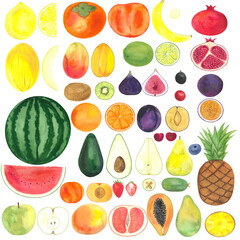set hand drawn watercolor fruits, illustration for a farm shop or vegetable market, exotic fruits for a healthy diet