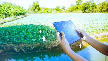 Close up hand holding tablet and open application smart farming.Agriculture green technology and science concept, ecology system.Hi-tech and futuristic.Digital and technology concept background. - obrazy, fototapety, plakaty
