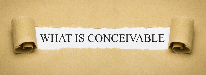 What is conceivable 