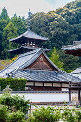 【奈良県】葛城市 當麻寺 (2023/10/17撮影)