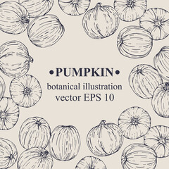 Vector hand darwn Pumpkin frame. Pumpkin elements. Botanical illustration for backdrop, cover design