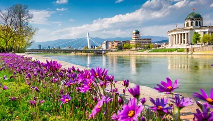 Foto op Plexiglas Noord-Europa blooming violet flowers on the shore of vardar river exciting spring cityscape of capital of north macedonia skopje with archaeological museum colorful view of art bridge