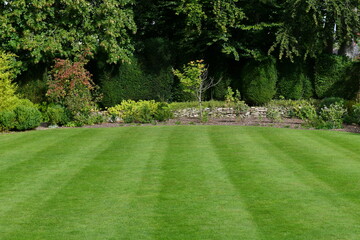 Striped green grass lawn in a beautiful garden