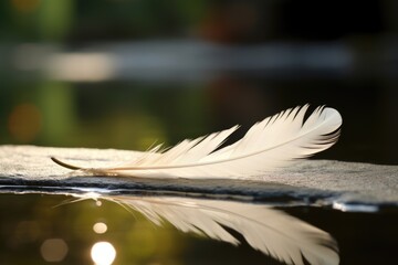 a single feather dropping on a tranquil pond