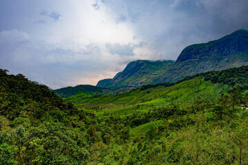 view of mounatin landscape covered with tea plantaion from Munnar, Kerala, India